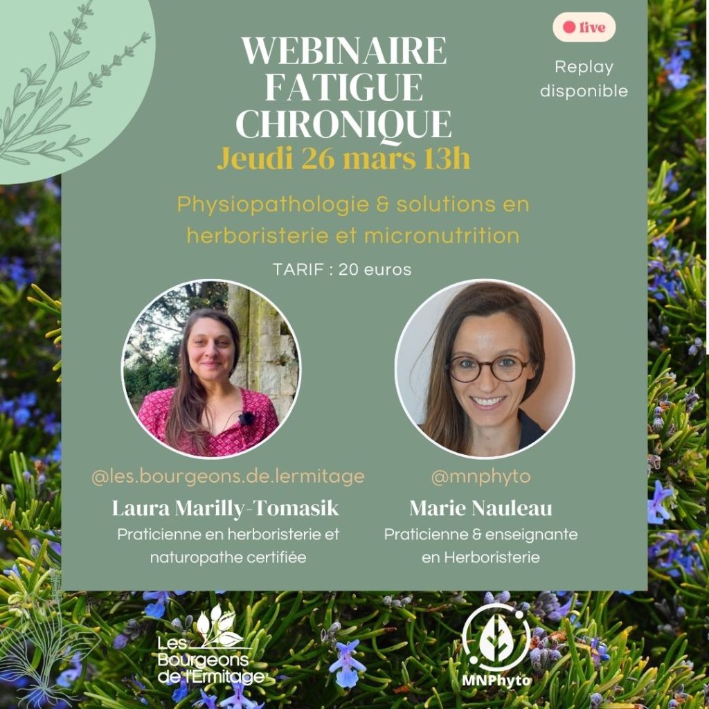 Webinaire fatigue chronique